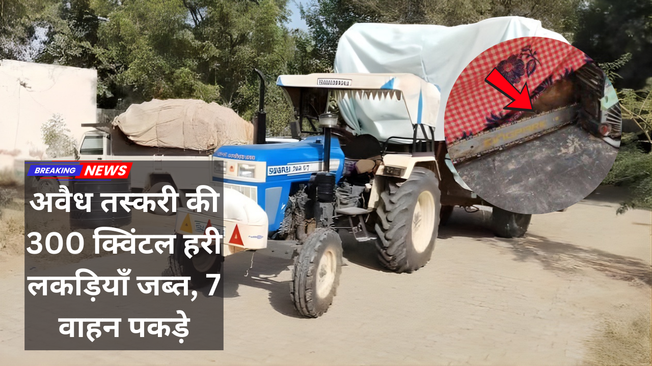 सादुलपुर में वन विभाग की बड़ी कार्रवाई: अवैध तस्करी की 300 क्विंटल हरी लकड़ियाँ जब्त, 7 वाहन पकड़े